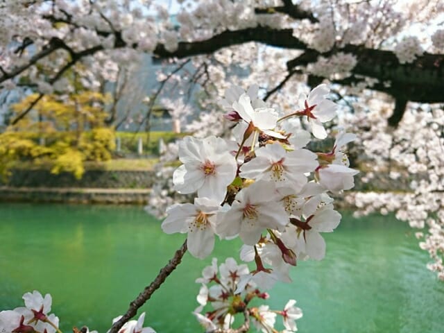 春の うらら の 隅田川
